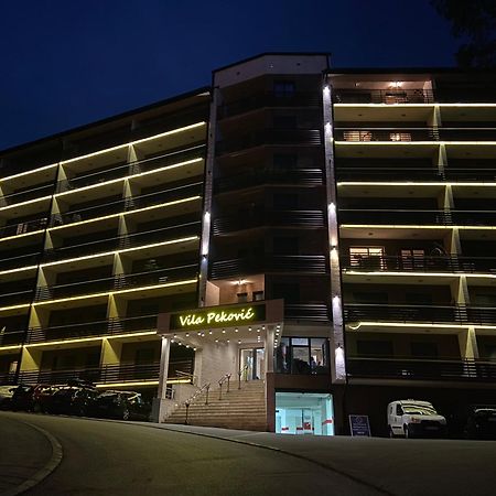 Apartment Pino Bianco 1 - Vila Pekovic Zlatibor Exteriér fotografie