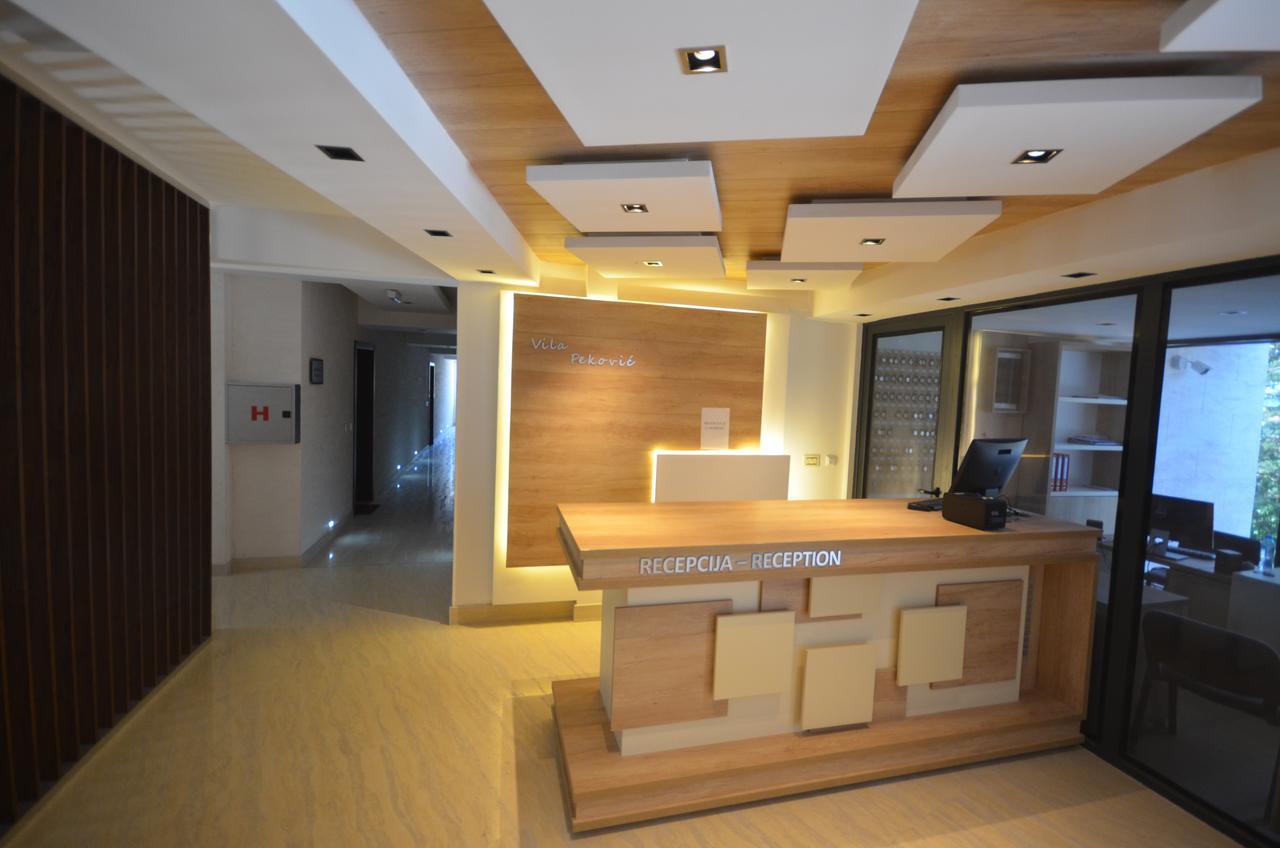Apartment Pino Bianco 1 - Vila Pekovic Zlatibor Exteriér fotografie